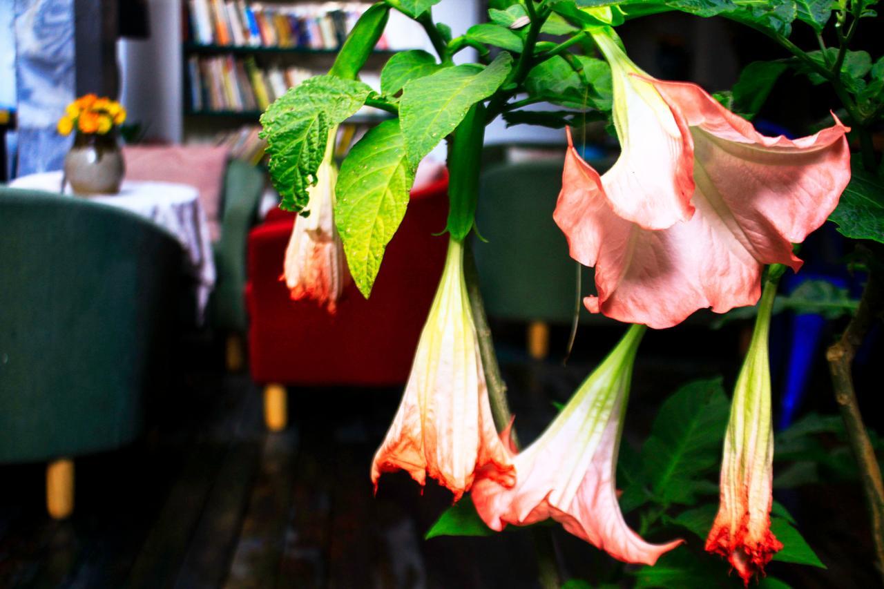 Dali Lao Shay Youth Hostel 외부 사진