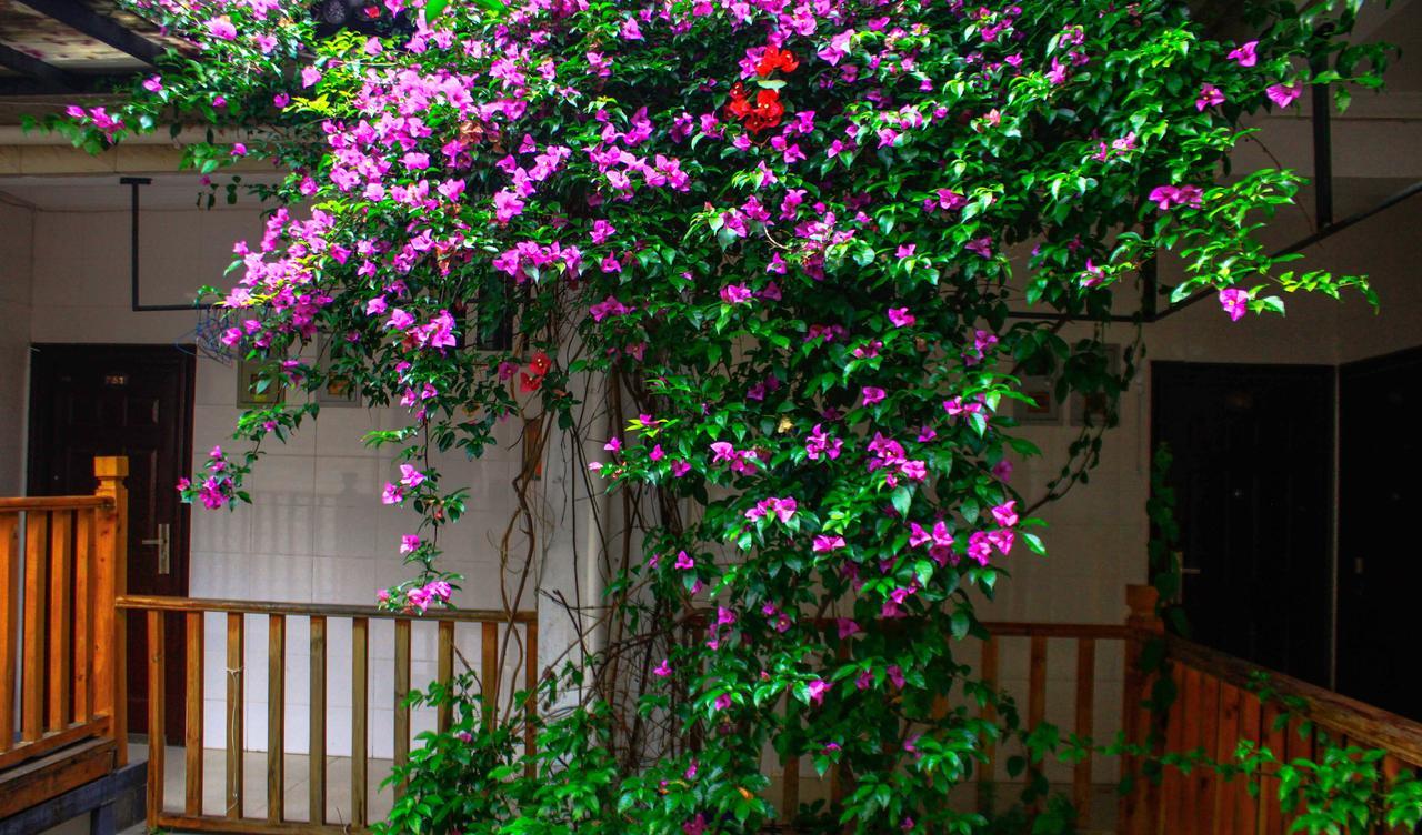 Dali Lao Shay Youth Hostel 외부 사진