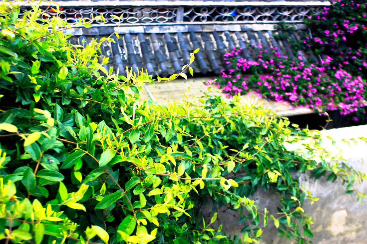 Dali Lao Shay Youth Hostel 외부 사진